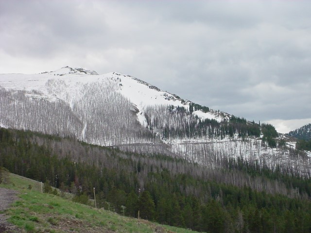 MVC-136F.JPG